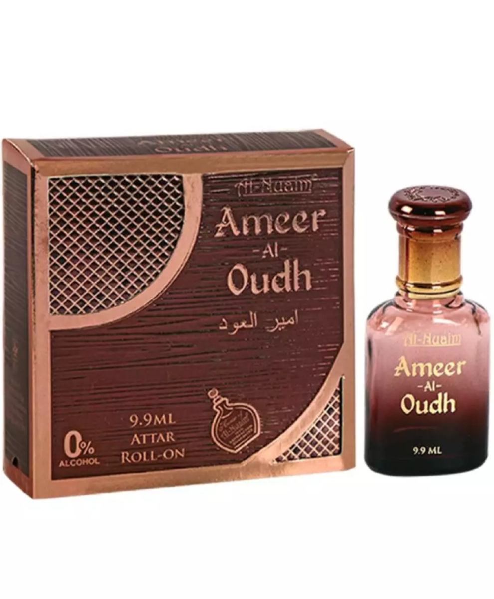 Ameer Al Oudh