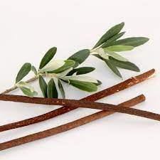 Original zaitoon meshwsk (যাইতুনের ডাল)